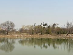 -永定河休闲森林公园