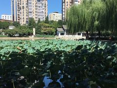-团结湖公园