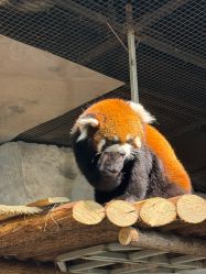 -Zoolung Zoolung动物主题公园(海信广场店)