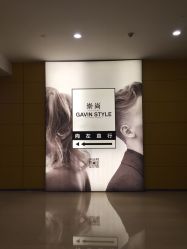 -崇尚GAVIN STYLE