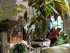 -一尺花园(安和花园店)