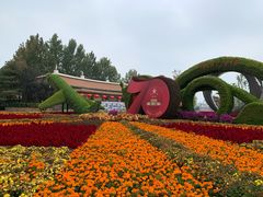 -大兴滨河森林公园