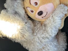 -海底捞火锅(高新活力汇店)