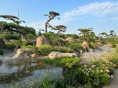 -罗红摄影艺术馆