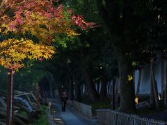 -台州府城(东湖)