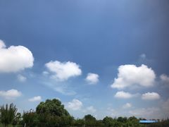 -武汉紫薇都市田园