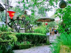 -青城甲(青城山店)