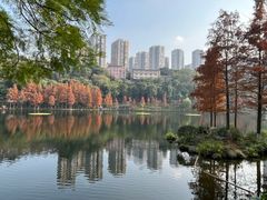 -重庆彩云湖湿地公园