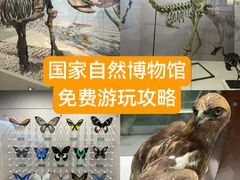 -国家自然博物馆