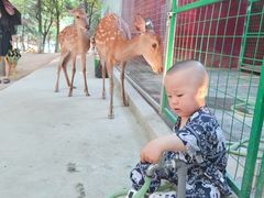 -太原动物园