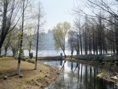 -大拙里·精致融合菜(沙湖桃源国际店)