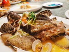 石斑-79号渔船海鲜饭店(宝安店)