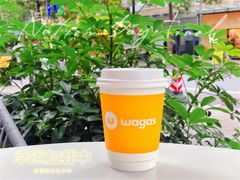 燕麦奶澳白-Wagas沃歌斯(大学路店)