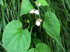 -北京上方山国家森林公园