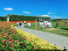 -北纬44度·金珠花海休闲农业旅游景区