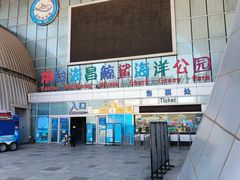 -烟台海昌鲸鲨海洋公园
