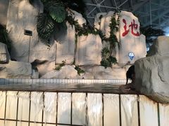 -天山海世界·米立方