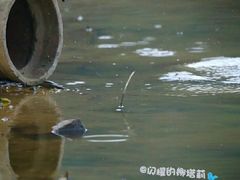 -南国桃园旅游度假区