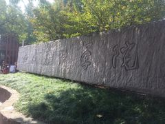 -黄桷坪涂鸦艺术街