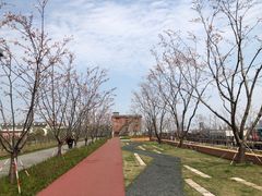 -北外滩滨江绿地