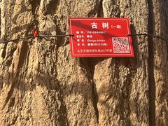 -潭柘寺景区