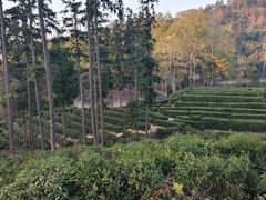 -黄陂区野村谷景区