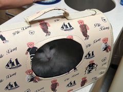 -美联众合动物医院(唯恩分院)