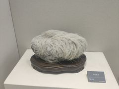 -安徽省地质博物馆