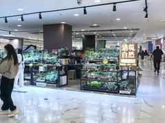 -凯德MALL(望京店)