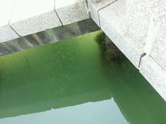 android_upload_pic-江头公园