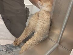 -comecome来吧宠物(奥克斯中心店)