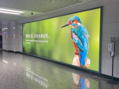 -石家庄正定国际机场-T2航站楼