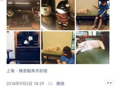 -橼舍鮨青木