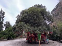 -云山屯古建筑群景区