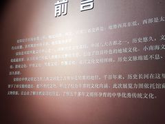 -安阳博物馆