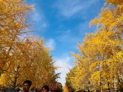 -辽宁大学(崇山校区)