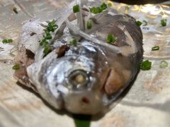 -镹·鱼料理  国产鱼使用店