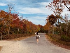 -上海海湾国家森林公园