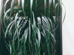 -思念果岭悦温泉