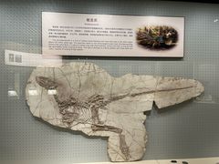 -辽宁古生物博物馆