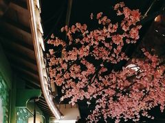 -荷塘秋月·本帮江浙菜(国权路店)