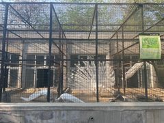 -保定市动物园