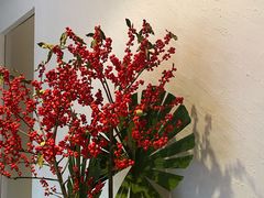 -三利音·浦之舟(滨江大道店)