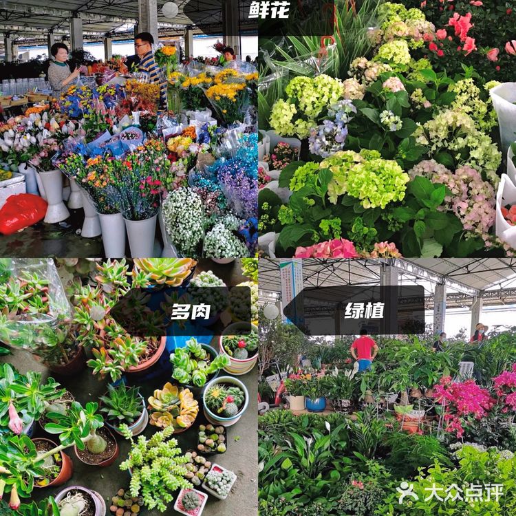 番禺清河市场四九墟，买买买攻略