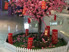 -星河寰宇IMAX影城(星河WORLD·COCO Park店)