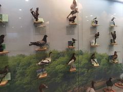 -下渚湖国家湿地公园科普馆