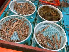 -开禾52阿伟海鲜加工