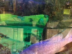 -尚泰清迈机场购物中心