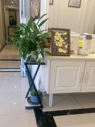 -香秀空间科技抗衰·美容中心