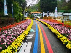 -南宁市凤岭儿童公园